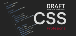 draft-code-ivan-vazquez-vidador-css-profesional
